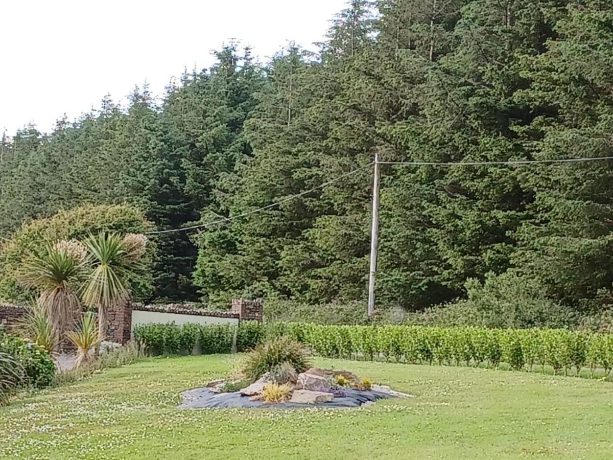 Ashburnum Cottage Bandon Eksteriør billede